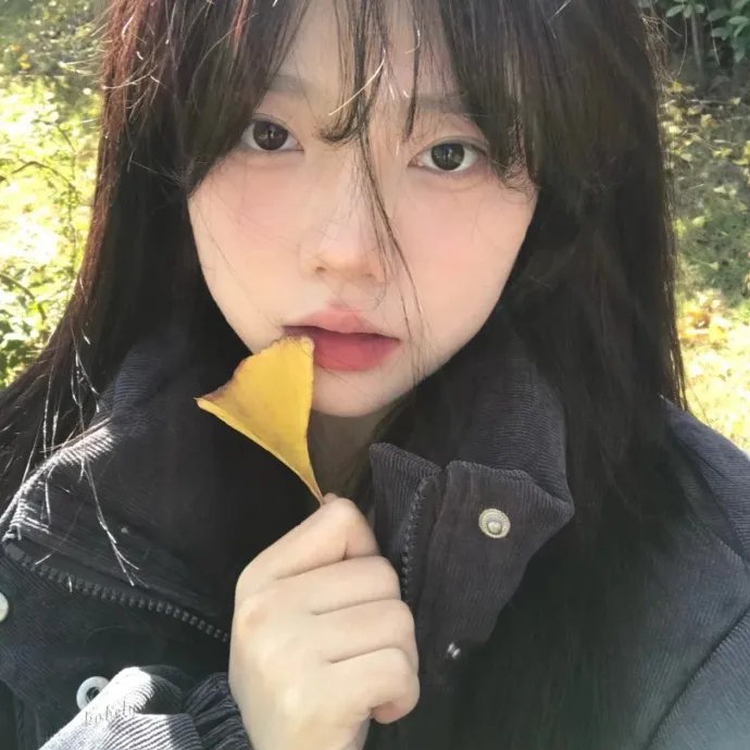 遛鸟家族